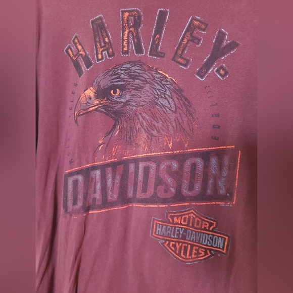 🦅Harley Davidson- Brown Shenandoah Staunton, VA T-Shirt - Size M - Picture 5 of 6